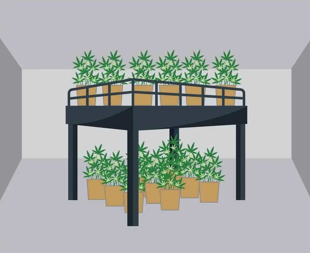 4-Ways-a-Mezzanine-Can-Help-Your-Marijuana Grow-Facility