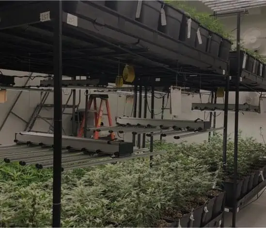 Marijuana Grow Facilities